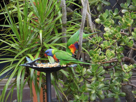 Nanango Fitzroy Motel - Sunshine Coast Tourism 2