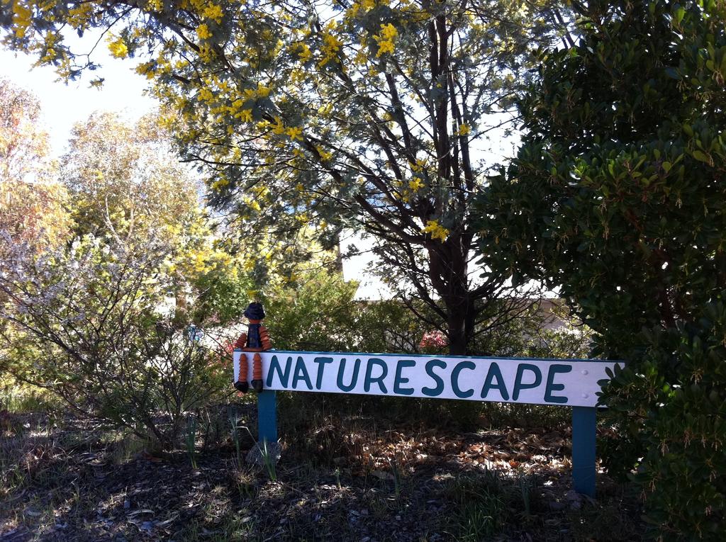 Sawpit Creek NSW Sunshine Coast Tourism