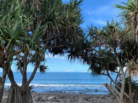 Nautilus Beachside Apartments - Holiday Sunshine Coast 3