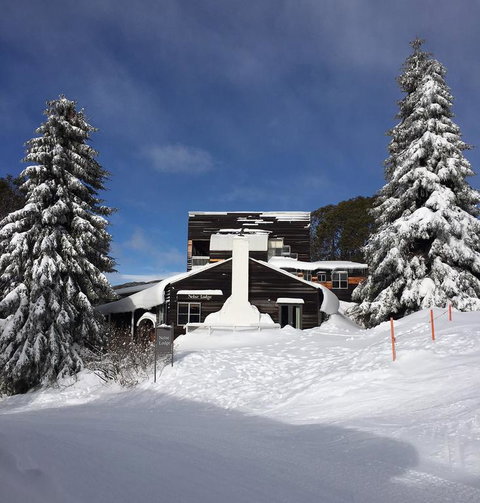 Nelse Lodge - Sunshine Coast Tourism 3