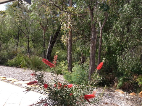 Cape Villas Dunsborough Unit 2 - Sunshine Coast Tourism 22