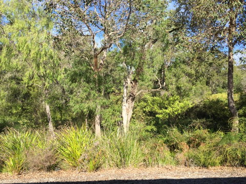 Cape Villas Dunsborough Unit 2 - Sunshine Coast Tourism 26