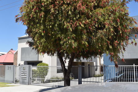 Central Executive Townhouse - Sunshine Coast Tourism 9