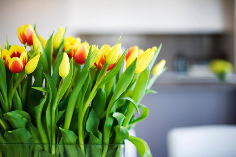 Claremont Quarter Luxury Apartment - Holiday Sunshine Coast 11