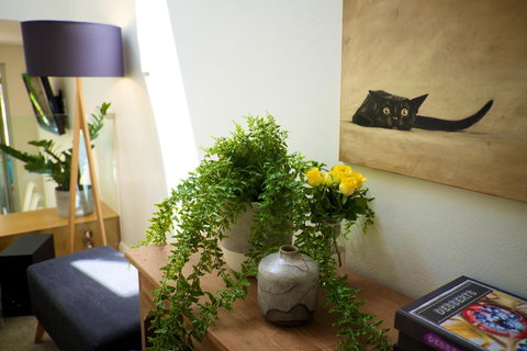 Cottesloe Artist's Beach Retreat - Holiday Sunshine Coast 26