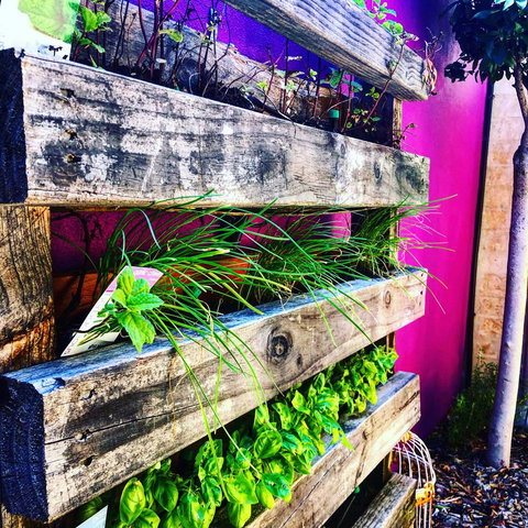 BeachHideaway@Scarborough - Sunshine Coast Tourism 11