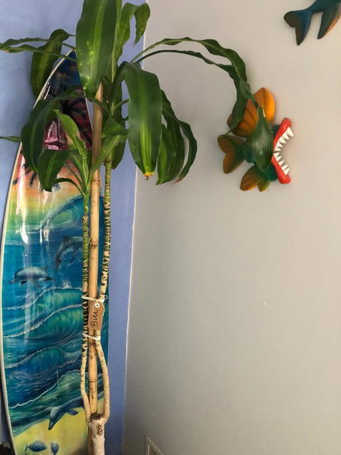 BeachHideaway@Scarborough - Sunshine Coast Tourism 28