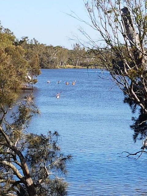 Jacaranda Hideaway Bed & Breakfast - Holiday Sunshine Coast 19