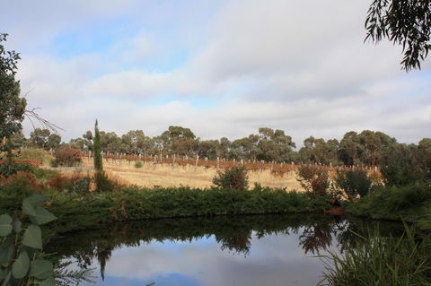 Hotham Ridge Estate - Sunshine Coast Tourism 27