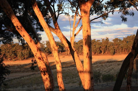 Hotham Ridge Estate - Sunshine Coast Tourism 30