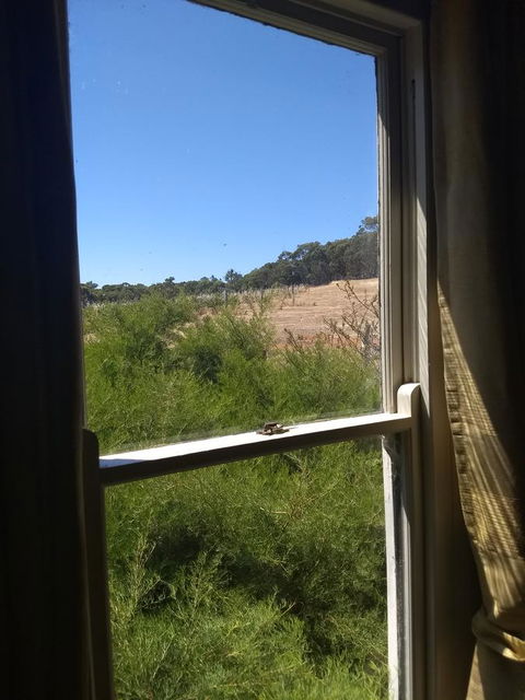 Hotham Ridge Estate - Sunshine Coast Tourism 8