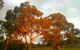 Hotham Ridge Estate - thumb 35