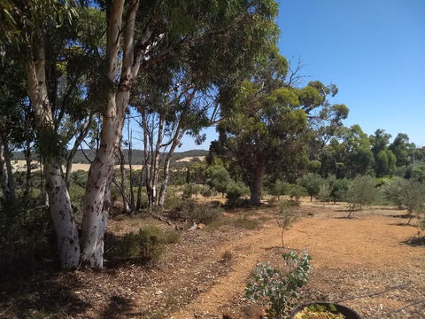 Hotham Ridge Estate - Sunshine Coast Tourism 13