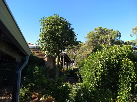 Hotham Ridge Estate - Sunshine Coast Tourism 5