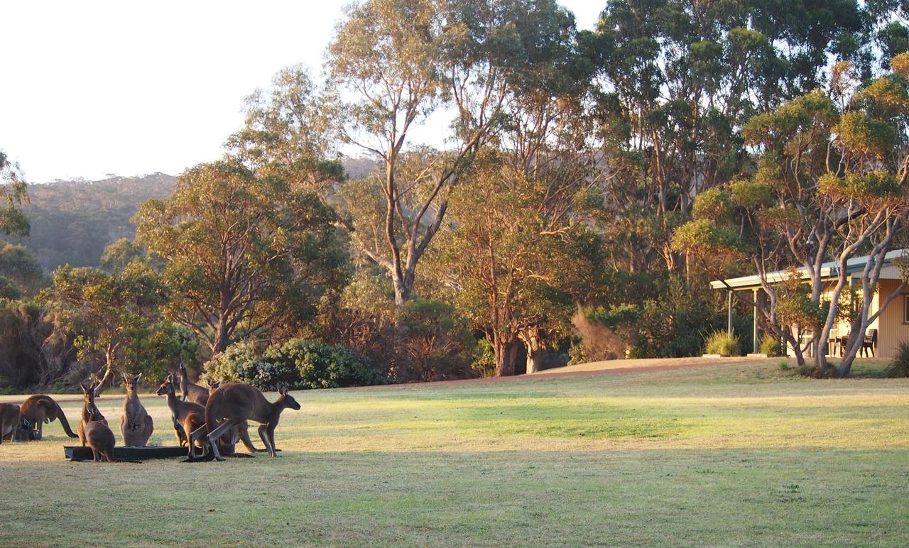  Sunshine Coast Tourism