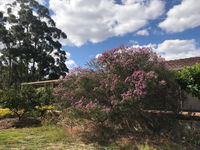 Book Cockburn Central Accommodation Vacations Sunshine Coast Tourism Sunshine Coast Tourism