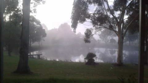 Abbivale Farm Cottage - Holiday Sunshine Coast 18