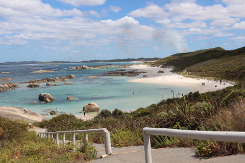 Abbivale Farm Cottage - Holiday Sunshine Coast 19