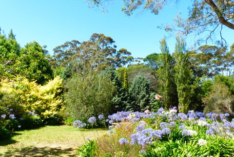 Innisfree Mountain Retreat - Sunshine Coast Tourism 1