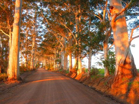 Innisfree Mountain Retreat - Sunshine Coast Tourism 10