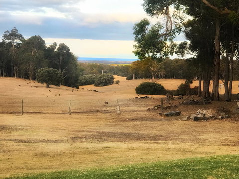 For The Birds Yallingup - Sunshine Coast Tourism 28