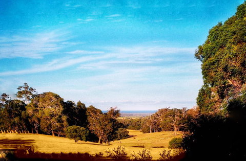 For The Birds Yallingup - Sunshine Coast Tourism 27