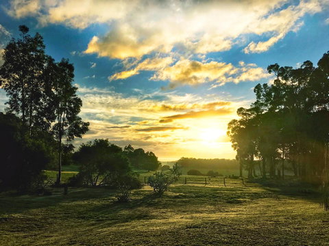 For The Birds Yallingup - Sunshine Coast Tourism 23