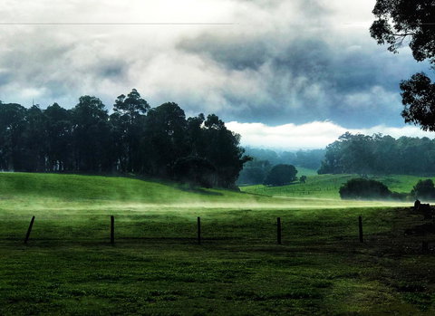 For The Birds Yallingup - Sunshine Coast Tourism 25