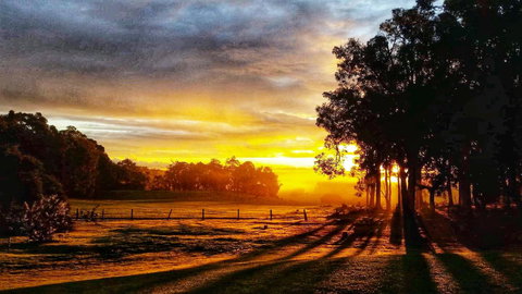 For The Birds Yallingup - Sunshine Coast Tourism 26