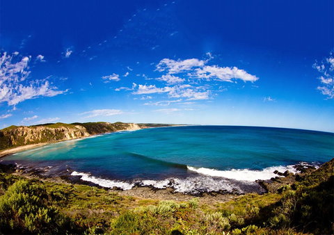 For The Birds Yallingup - Sunshine Coast Tourism 31