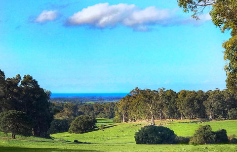 For The Birds Yallingup - Sunshine Coast Tourism 2