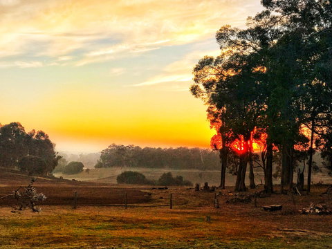 For The Birds Yallingup - Sunshine Coast Tourism 24