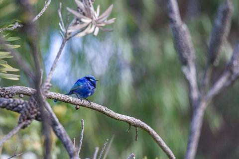 Surfside Ocean Beach Denmark Holiday Accommodation - Holiday Sunshine Coast 3