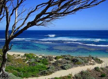 The Beach House - Holiday Sunshine Coast 5
