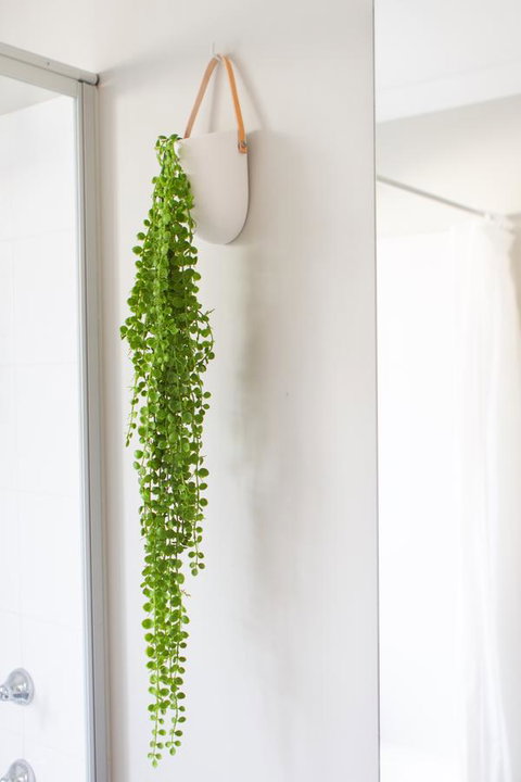 The Beach House - Holiday Sunshine Coast 15