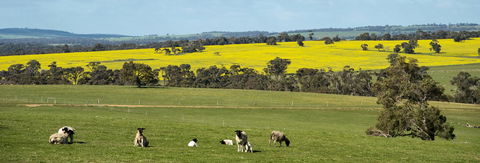 Kendenup Cottages And Lodge - Holiday Sunshine Coast 44