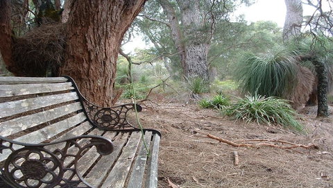 Yelverton Brook Conservation Sanctuary - Sunshine Coast Tourism 42