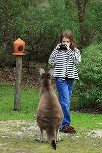 Yelverton Brook Conservation Sanctuary - Sunshine Coast Tourism 39