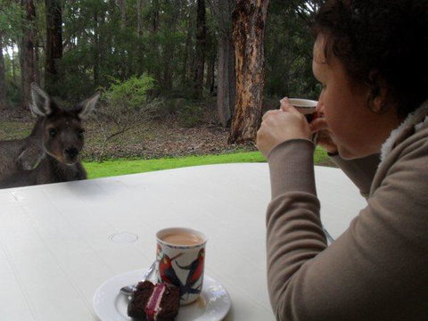 Yelverton Brook Conservation Sanctuary - Sunshine Coast Tourism 44