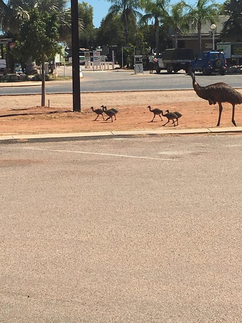 Exmouth 4 Escape - Holiday Sunshine Coast 22