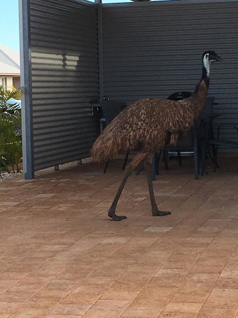 Exmouth 4 Escape - Holiday Sunshine Coast 23