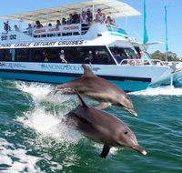 Belvedere Caravan Park - Sunshine Coast Tourism