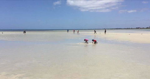 Beach House Dunsborough - Sunshine Coast Tourism 22