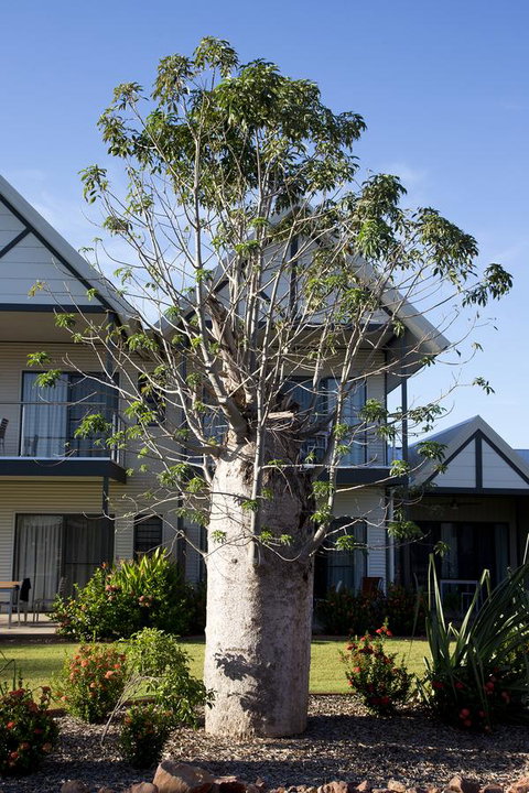 Freshwater East Kimberley Apartments - Holiday Sunshine Coast 18