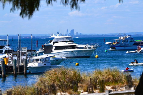 Palms Bed & Breakfast - Sunshine Coast Tourism 27