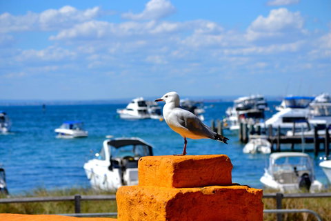 Palms Bed & Breakfast - Sunshine Coast Tourism 25