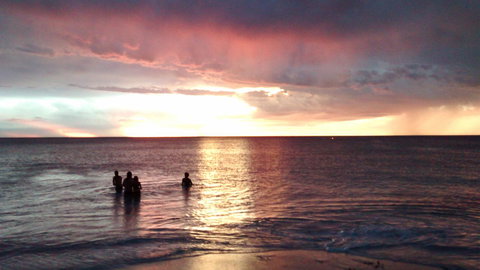 Palms Bed & Breakfast - Sunshine Coast Tourism 24