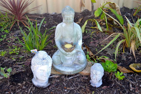 Palms Bed & Breakfast - Sunshine Coast Tourism 22