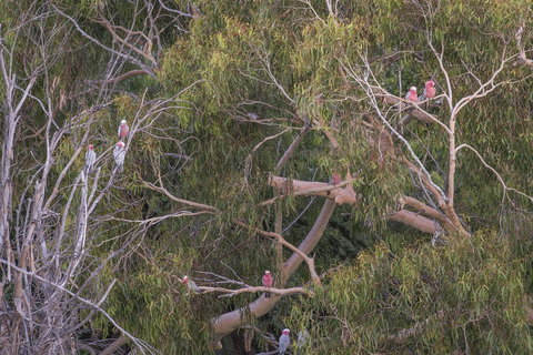 12/26 Yallingup Beach Road - Sunshine Coast Tourism 19