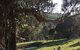 Balingup Highview Chalets - thumb 13